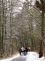 Wandeling De Paalse Plas 24-2-2013 (26)
